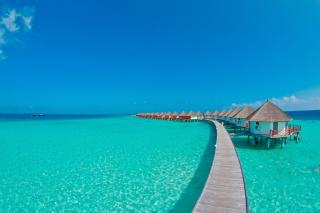 Safari Island