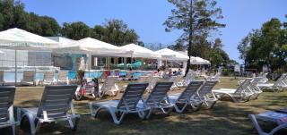 Forest Beach
