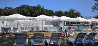 Forest Beach