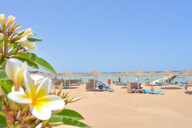 Jasmine Palace Resort