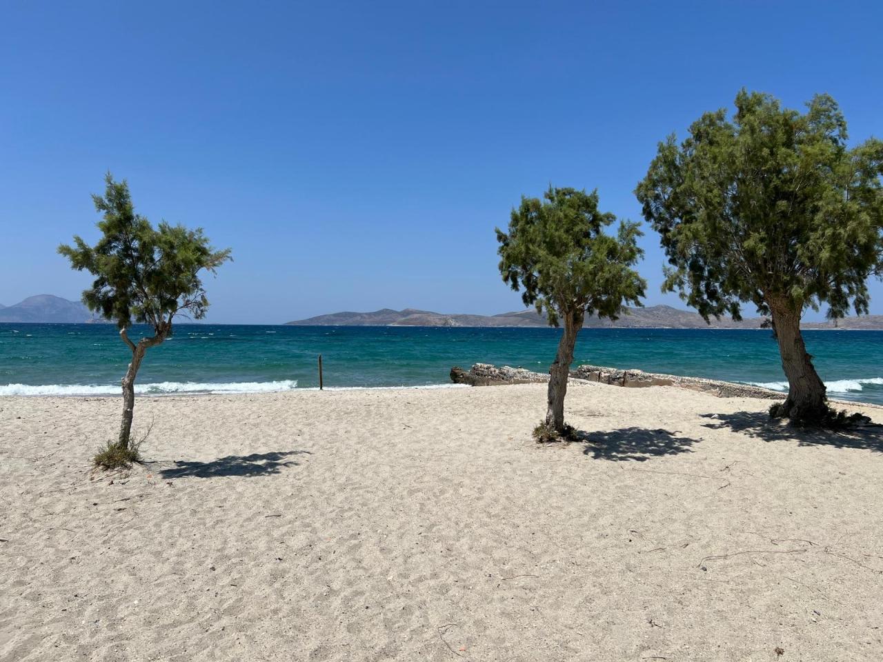 Hotel Thalasea Beach