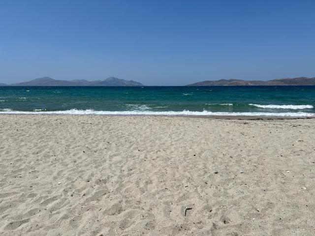 Hotel Thalasea Beach