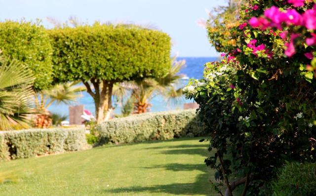 Royal Brayka Beach Resort