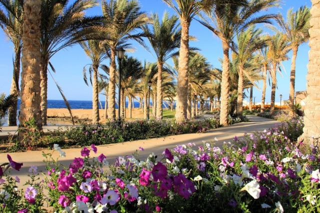 Royal Brayka Beach Resort