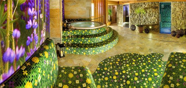Hotel FIS