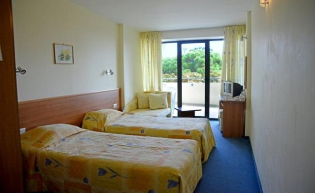 Hotel Perunika