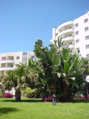 Suite Hotel Jardins d´Ajuda