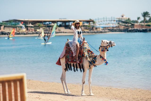 Desert Rose Resort