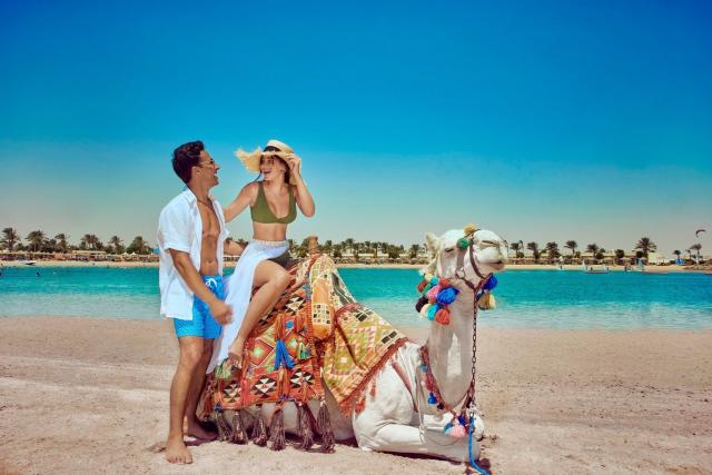 Desert Rose Resort