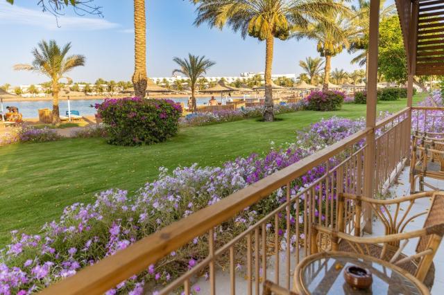 Desert Rose Resort