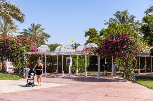 Desert Rose Resort