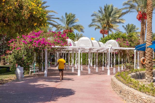 Desert Rose Resort