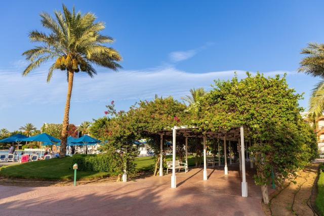 Desert Rose Resort