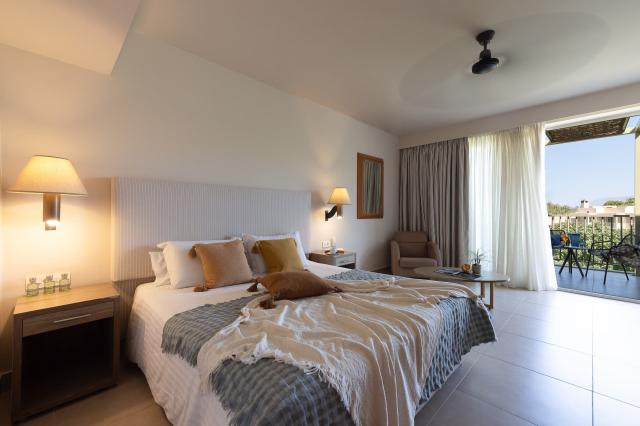 Hotel Giannoulis Santa Marina Beach Resort