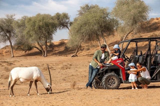 The Ritz-Carlton, Al Wadi Desert