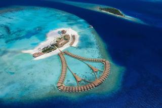 Cinnamon Velifushi