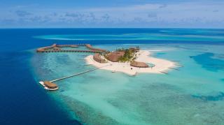 Cinnamon Velifushi