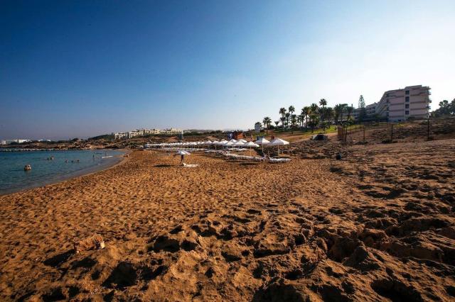 Venus Beach