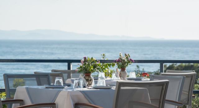 Hotel Delfinia