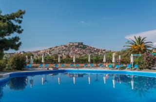 Delfinia