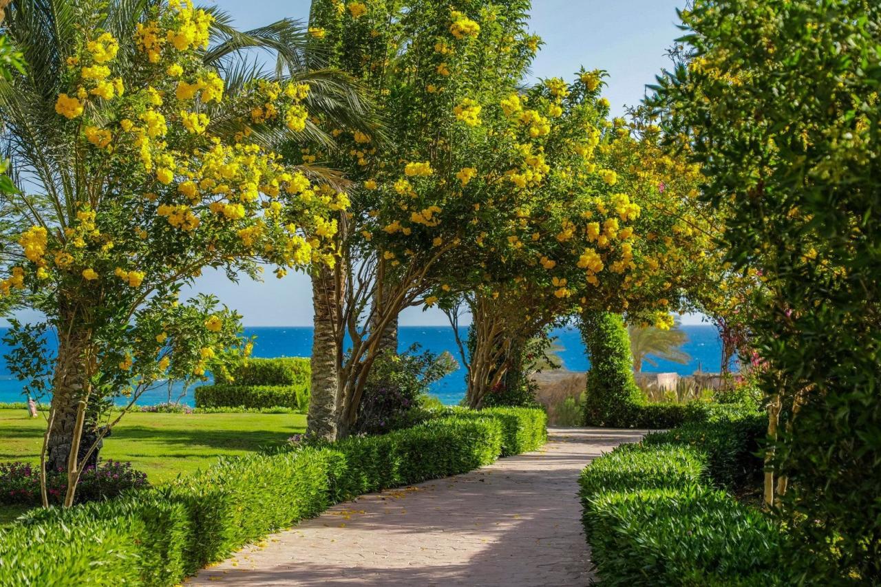 Hotel Fantazia Resort
