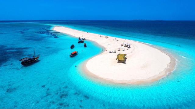 Ahoj Zanzibar!