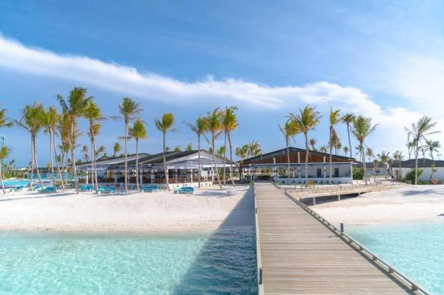 Joy Island The Cocoon Collection