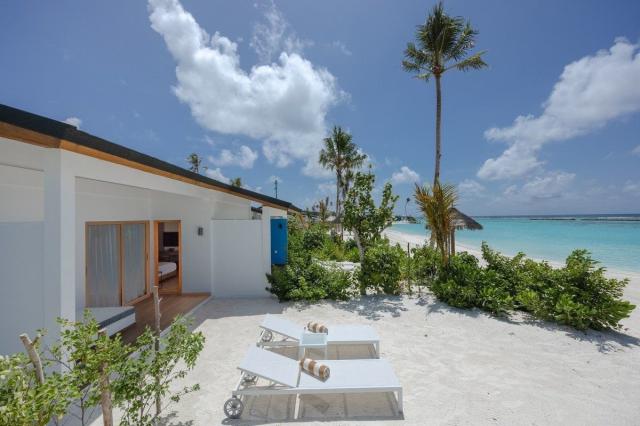 Joy Island The Cocoon Collection