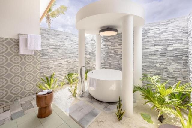 Joy Island The Cocoon Collection