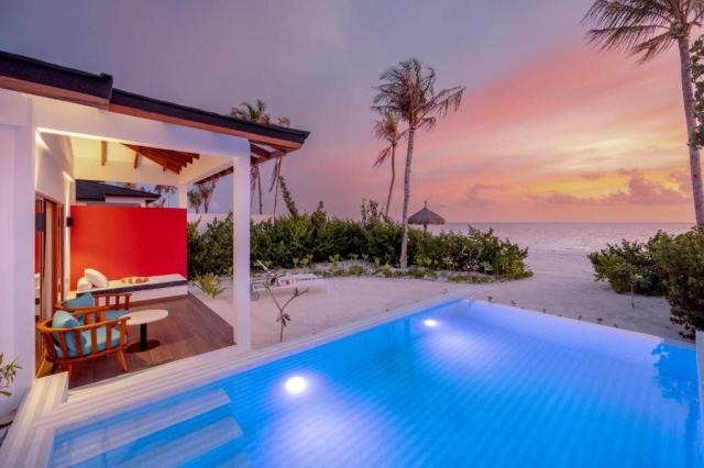Joy Island The Cocoon Collection