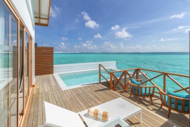 Joy Island The Cocoon Collection