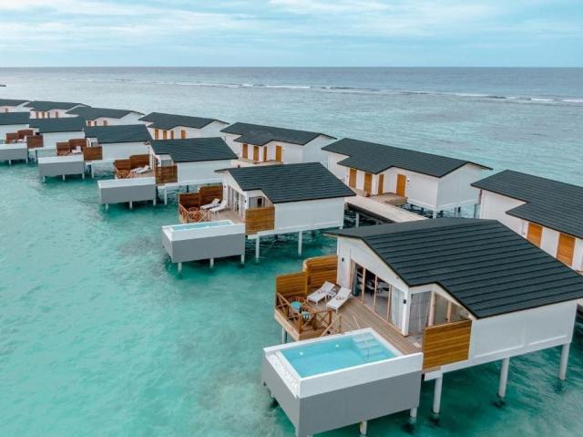 Joy Island The Cocoon Collection