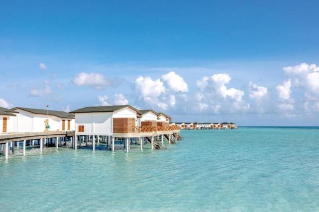 Joy Island The Cocoon Collection