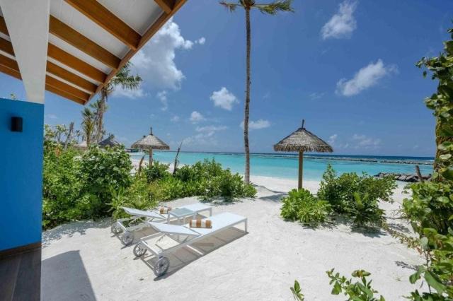 Joy Island The Cocoon Collection