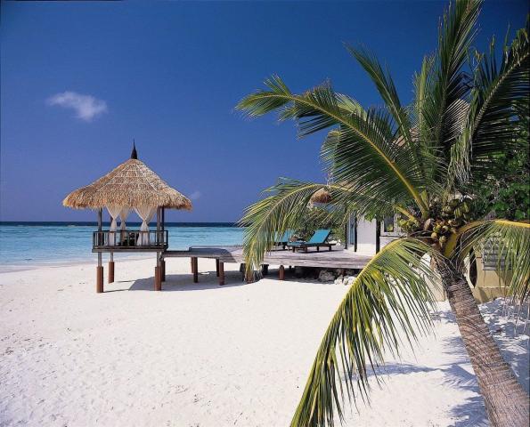 Banyan tree vabbinfaru