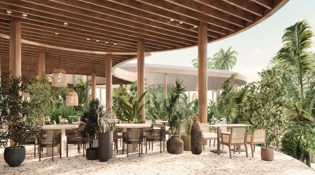 Orient Express & Hotel Paloma Grida