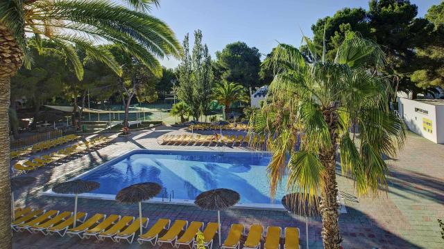 Magic Life Cala Pada