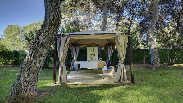 Magic Life Cala Pada