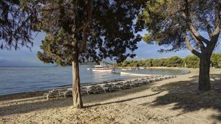 Magic Life Cala Pada
