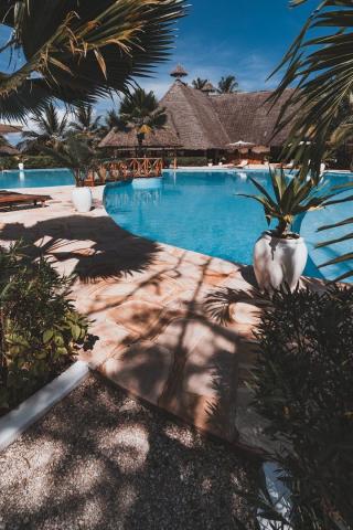 White Paradise