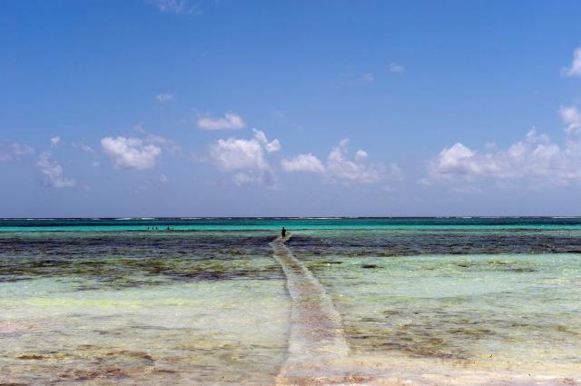 Karafuu Beach Resort & Spa