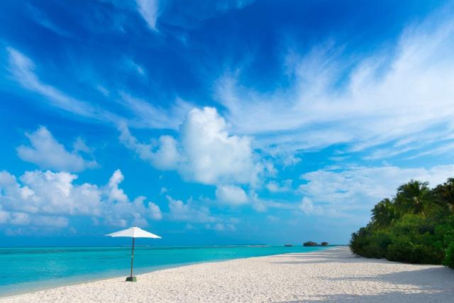 Hotel Cocoon Maldives