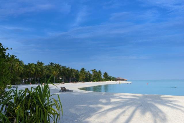 Hotel Cocoon Maldives