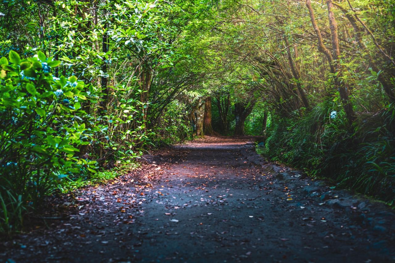 Turistika a koupání na Madeiře