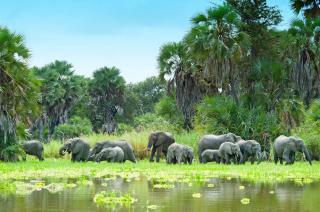 Divoká příroda Afriky & Hotel Mora Zanzibar (ex. Emerald Zanzibar)