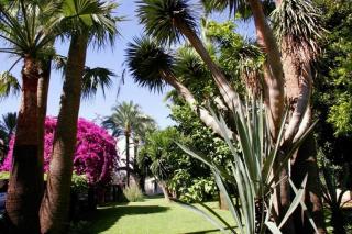Apartmány Bajondillo