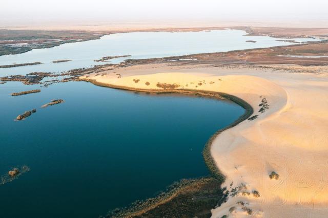 Hofuf