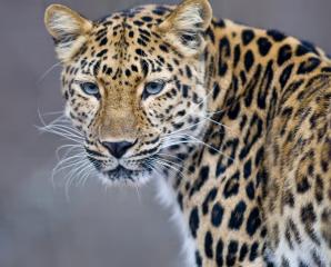 Safari v krajině červených slonů