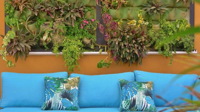 Los Almendros Exclusive Vacation Club