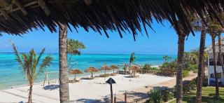 Nest Style Zanzibar